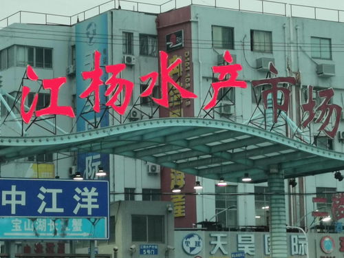 中國國際水產(chǎn)博覽會(huì)走進(jìn)上海江楊水產(chǎn)市場與廈門商貿(mào)合作新篇章