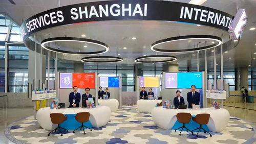 上海浦東機(jī)場外籍人員一站式綜合服務(wù)中心啟用 促進(jìn)國際化營商環(huán)境建設(shè)